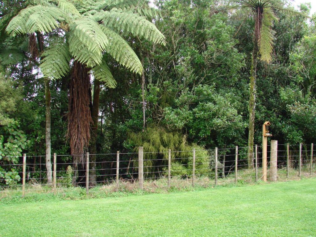 Millers Haven Homestay Tauranga Eksteriør billede