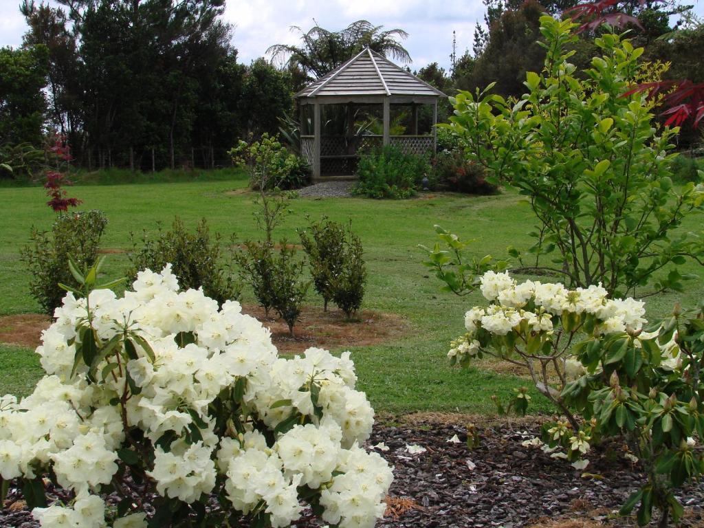 Millers Haven Homestay Tauranga Eksteriør billede